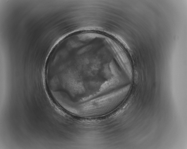 X0000113050895200909171539