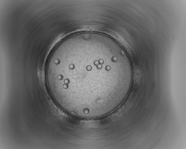 X0000113050896200909171539