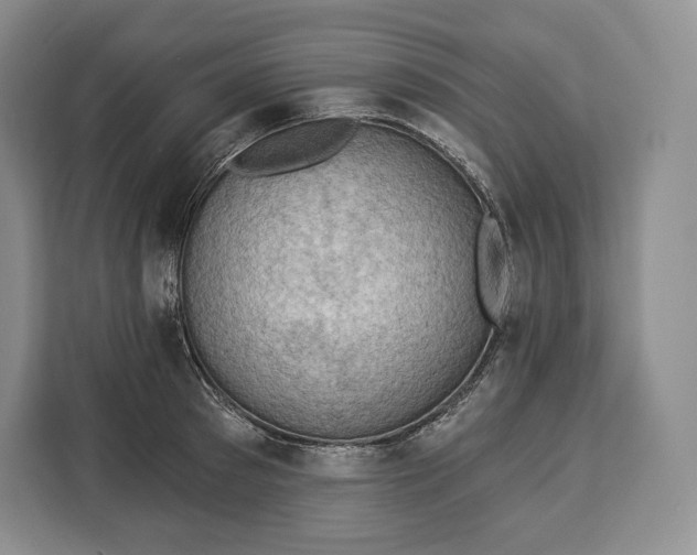 X0000113050897200909171539