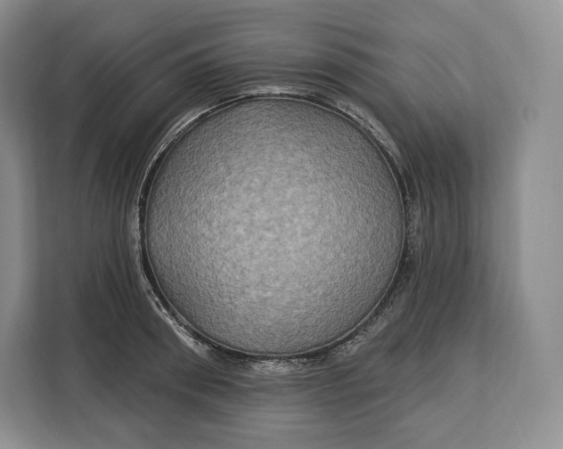 X0000113050898200909171539