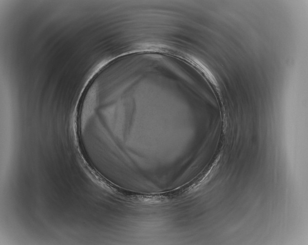 X0000113050899200909171539