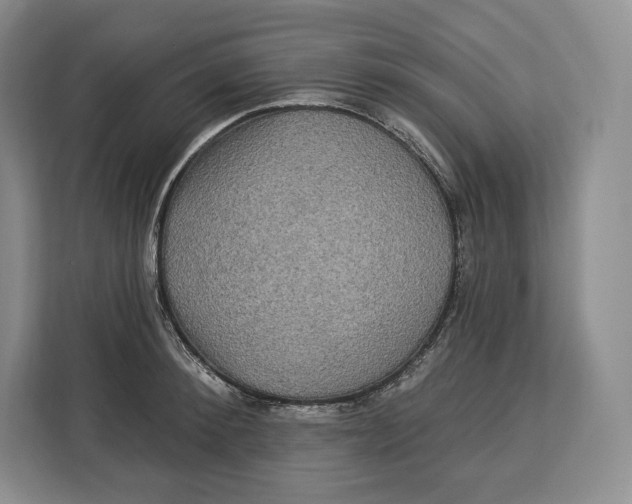 X0000113050900200909171539