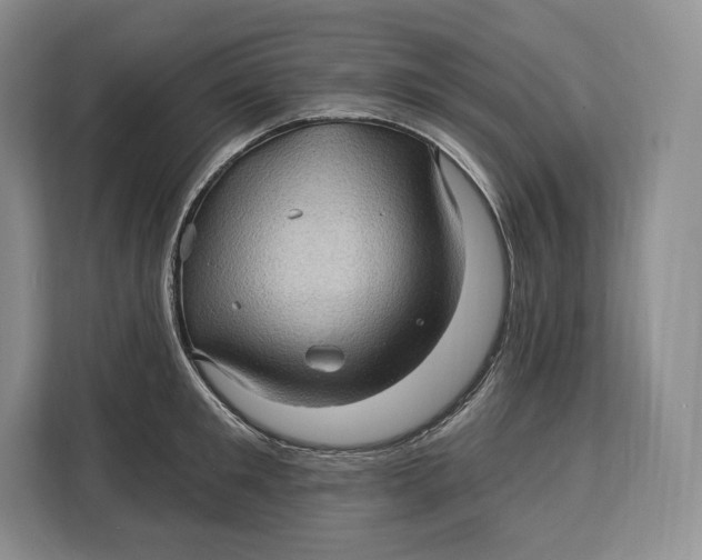 X0000113050901200909171539