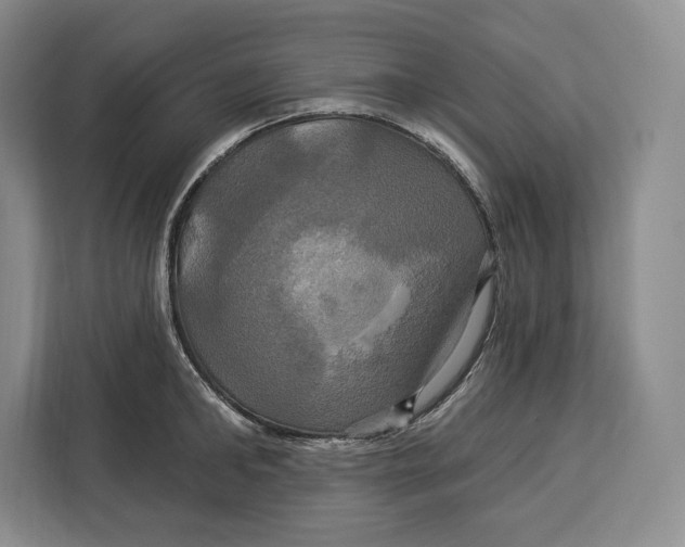 X0000113050902200909171539