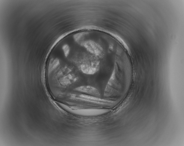 X0000113050903200909171538