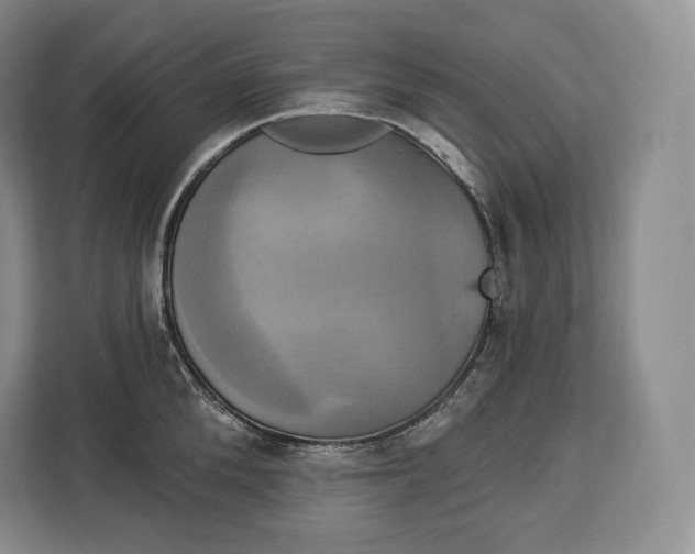 X0000113050904200909171538