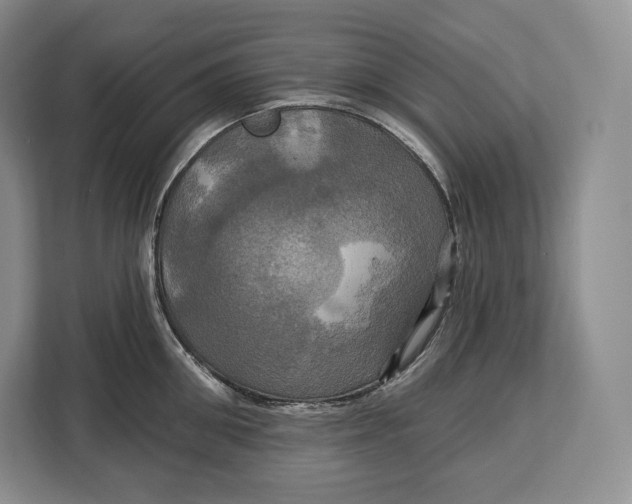 X0000113050906200909171538