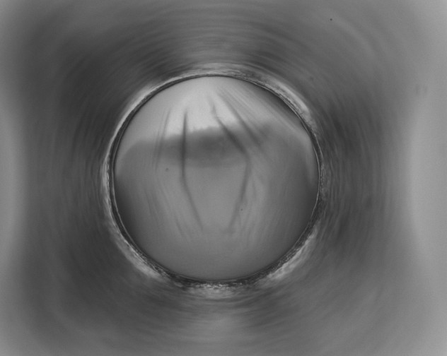 X0000113050907200909171538