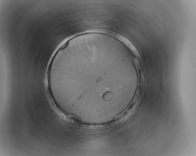 X0000113050908200909171538