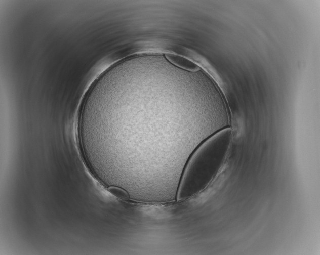 X0000113050909200909171538