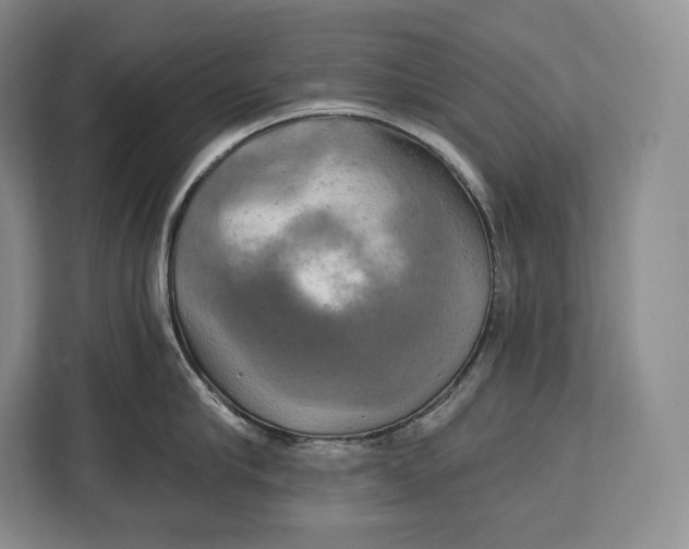 X0000113050910200909171538