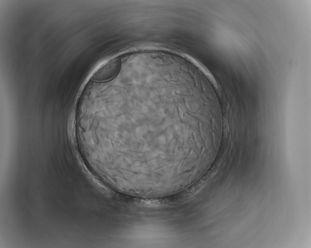 X0000113050911200909171538