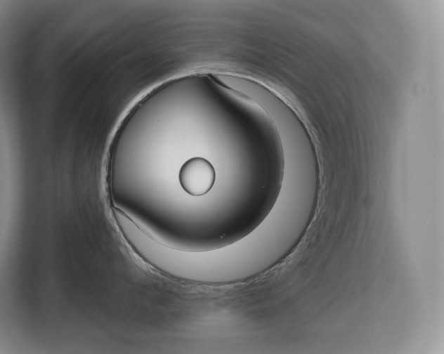 X0000113050912200909171538