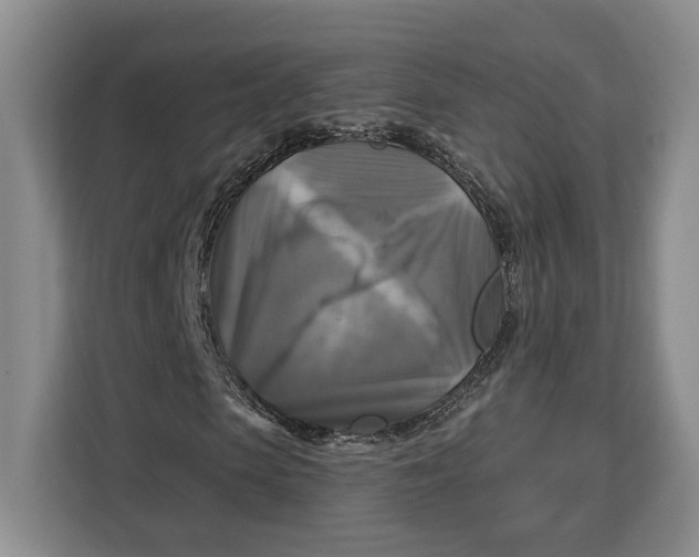 X0000113050913200909171538