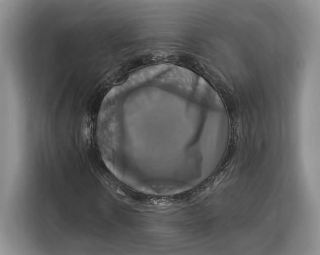 X0000113050914200909171538