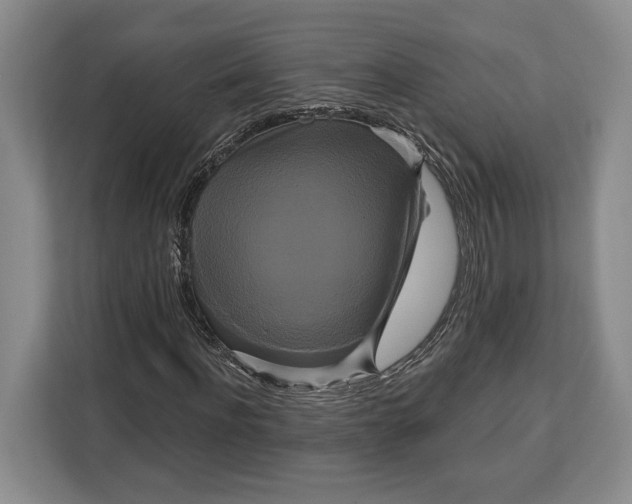 X0000113050916200909171538