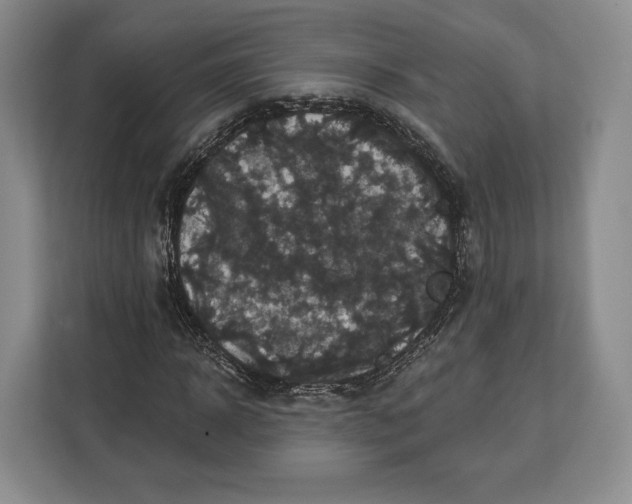 X0000113050918200909171538