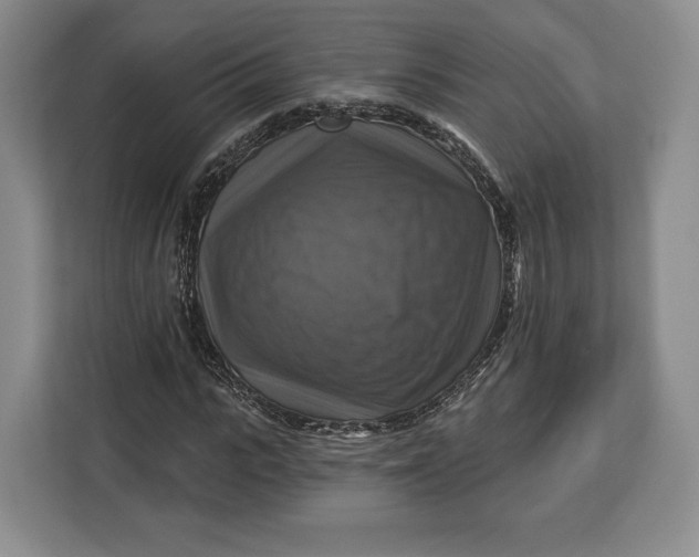 X0000113050919200909171538