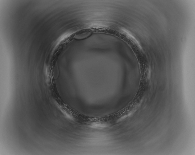 X0000113050920200909171538