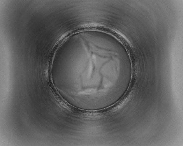 X0000113050921200909171538