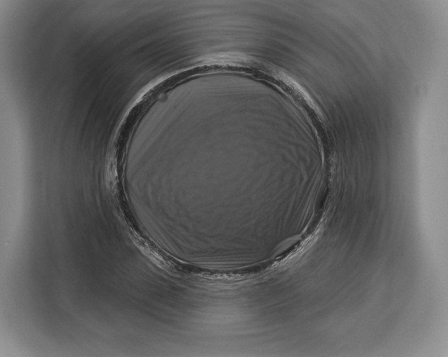 X0000113050923200909171538