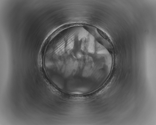 X0000113050925200909171538