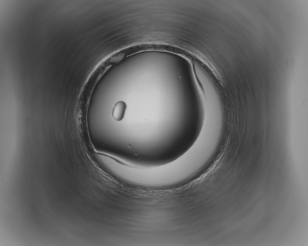 X0000113050926200909171538