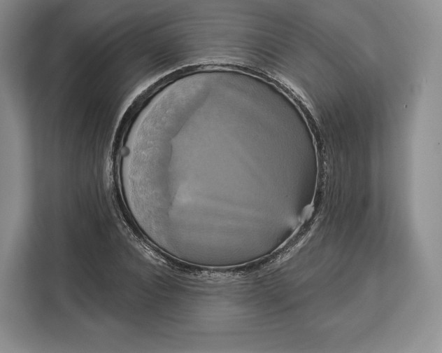 X0000113050928200909171538