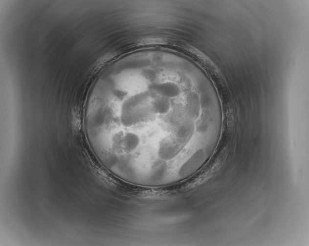 X0000113050929200909171538