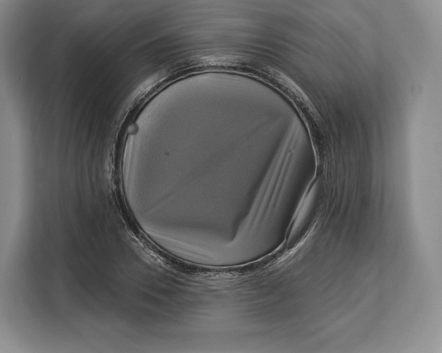 X0000113050930200909171538