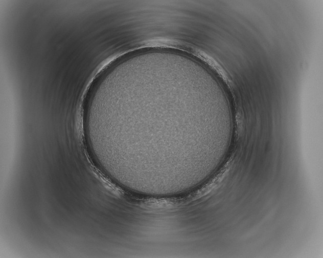 X0000113050931200909171538