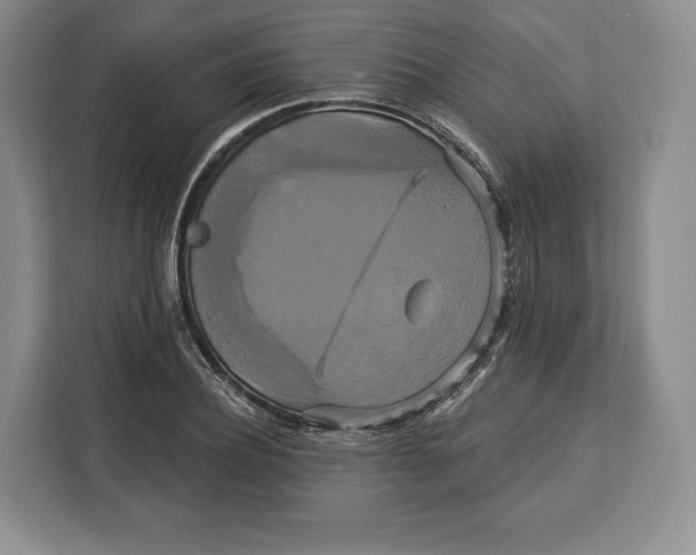 X0000113050932200909171538