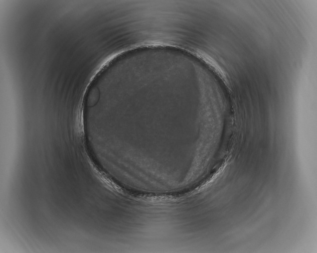 X0000113050934200909171538