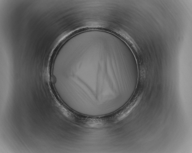 X0000113050935200909171538