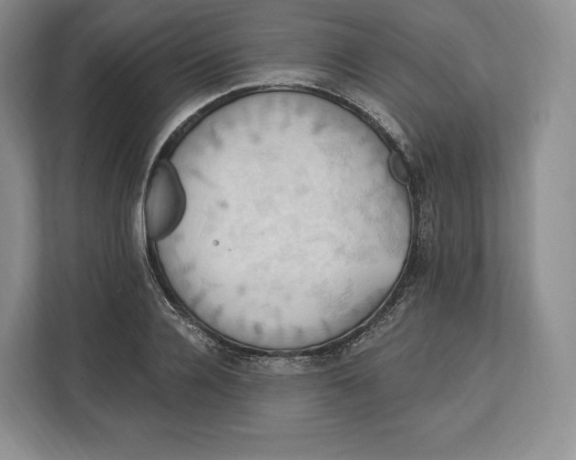 X0000113050936200909171538