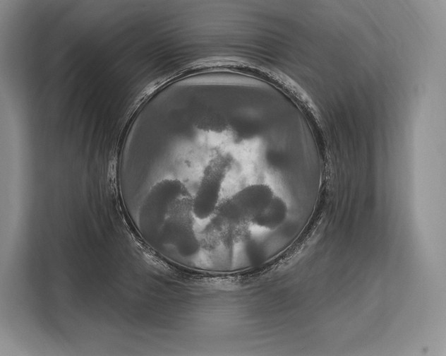 X0000113050937200909171538