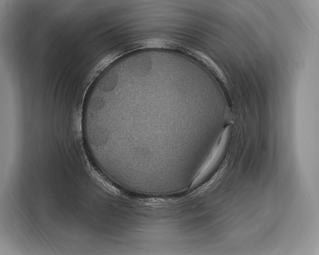 X0000113050938200909171538