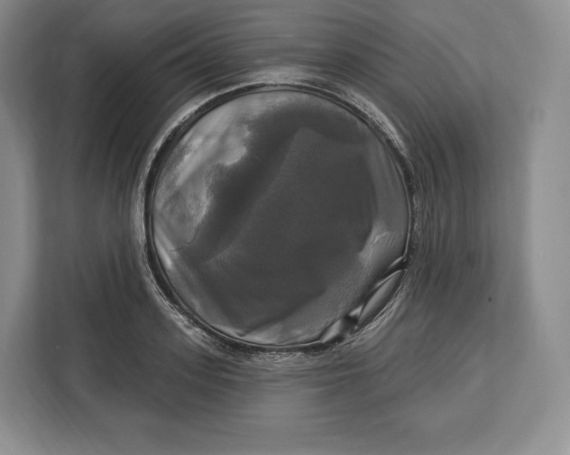 X0000113050939200909171538