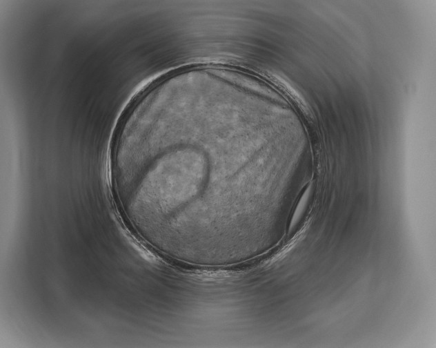 X0000113050940200909171538