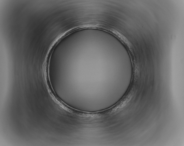 X0000113050941200909171538