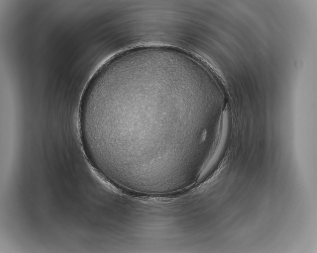 X0000113050942200909171538