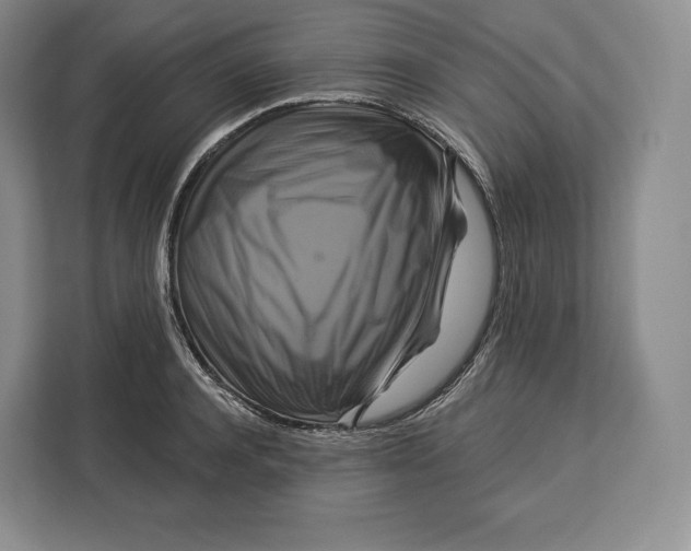 X0000113050944200909171538