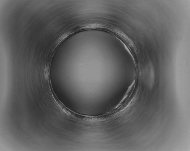 X0000113050945200909171538