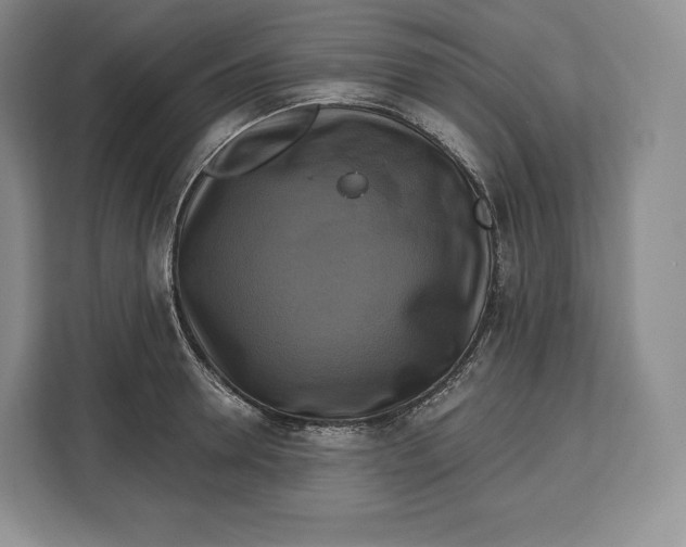 X0000113050946200909171538