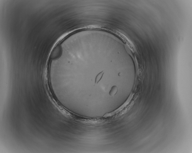 X0000113050948200909171538