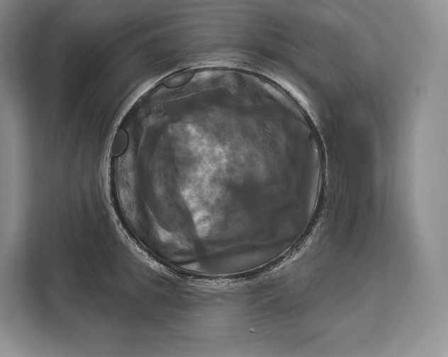 X0000113050949200909171538