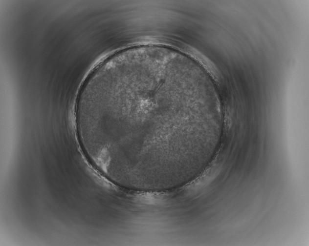 X0000113050950200909171538