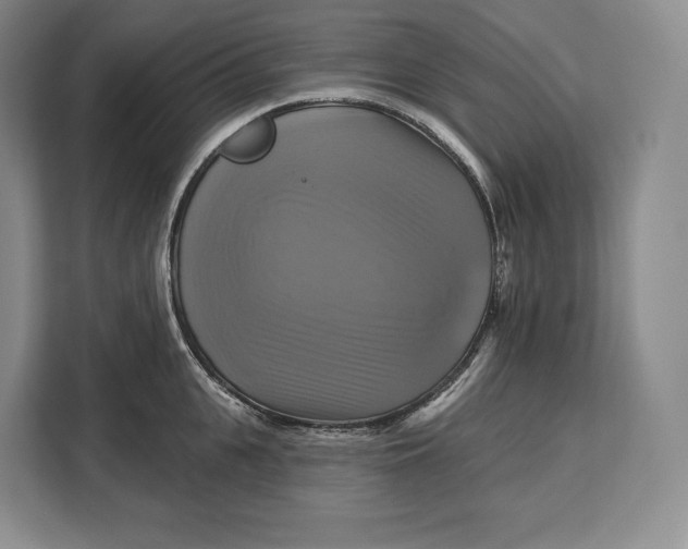 X0000113050951200909171538