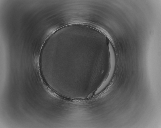 X0000113050954200909171538