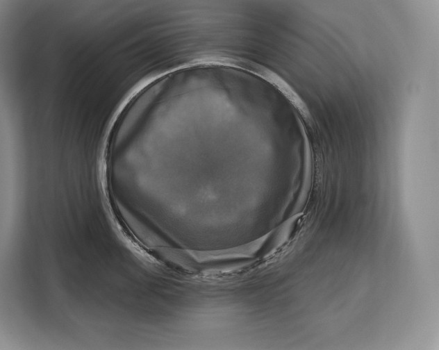 X0000113050955200909171538